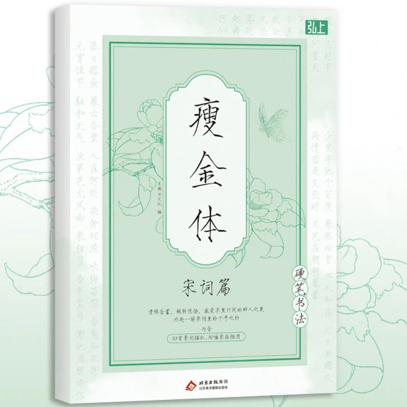 Chinese Writing  book Song Hui - Chinese Calligraphy Practice Book recension och pris